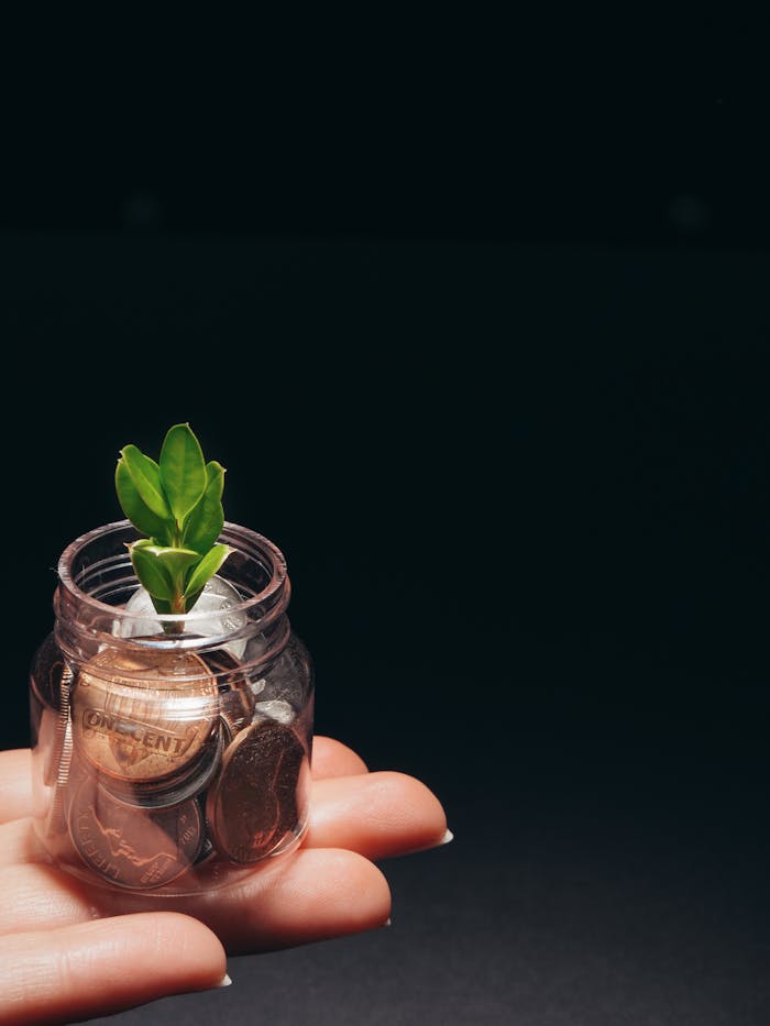 person-holding-clear-glass-jar-with-green-plant-6775160 A small plant growing in a glass jar filled with coins, represents financial growth and sustainability.